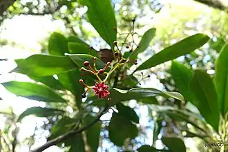 alternativní popis obrázku chybí