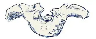 alternativní popis obrázku chybí