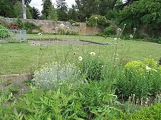 alternativní popis obrázku chybí