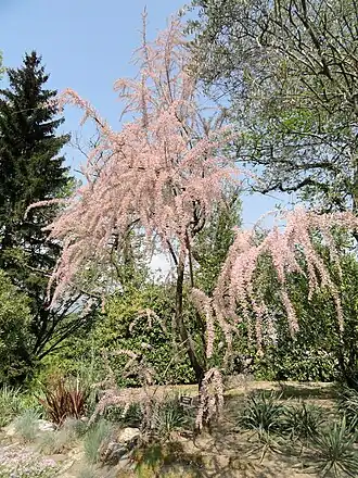 alternativní popis obrázku chybí