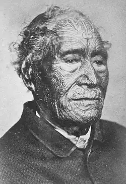 Tamati Waka Nene, 1870–1880