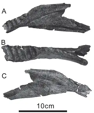 alternativní popis obrázku chybí