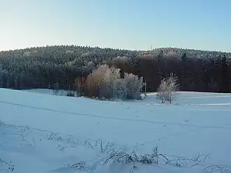 V popředí zasněžená pláň, za ní je skupinka listnatých stromů s uschlým a ojíněným, do žluta zbarveným listím. Střední část vyplňuje zalesněný hřbet, převládají tmavě zelené smrky s příměsí listnáčů. Svrchní část tvoří světle modrá až bělavá obloha.