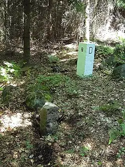 Pohled do lesa, dolní tři čtvrtiny jsou pokryty hrabankou a řídce trsy trávy, horní čtvrtinu představuje smrkový les s hustým zápojem. V dolní části vlevo ční tmavě šedý historický hraniční kámen, v horní části vpravo zase větší, bíle natřený současný hraniční patník.