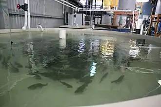 alternativní popis obrázku chybí