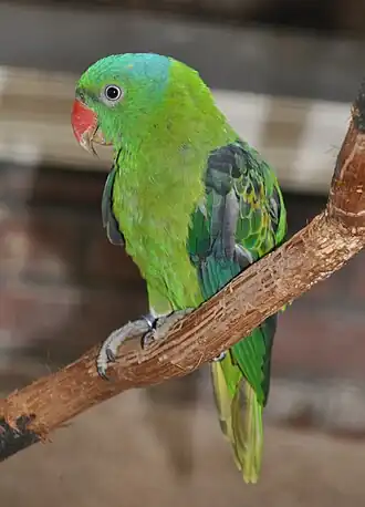 alternativní popis obrázku chybí