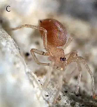 alternativní popis obrázku chybí