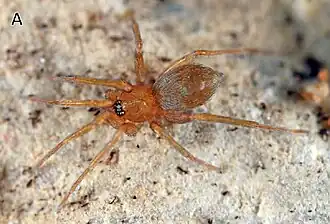 alternativní popis obrázku chybí