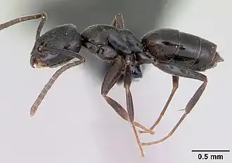 alternativní popis obrázku chybí