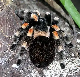 alternativní popis obrázku chybí