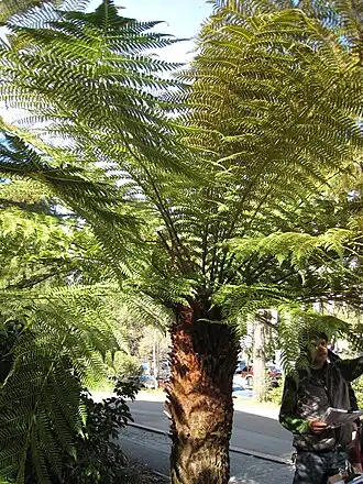 alternativní popis obrázku chybí