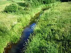 Tatula u městysu Pabiržė