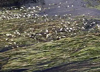 alternativní popis obrázku chybí