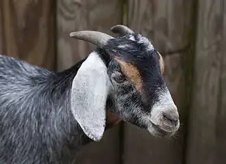 alternativní popis obrázku chybí