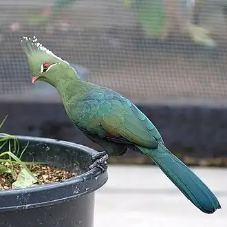 alternativní popis obrázku chybí