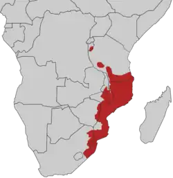 Areál rozšíření