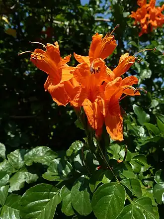 alternativní popis obrázku chybí