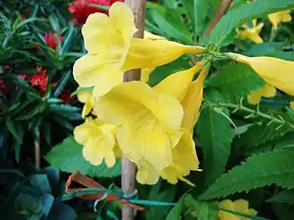 alternativní popis obrázku chybí