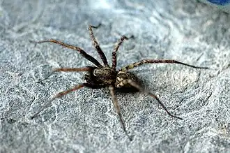 alternativní popis obrázku chybí