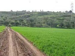 Celkový pohled na Tel Jizre'el od Nachal Charod