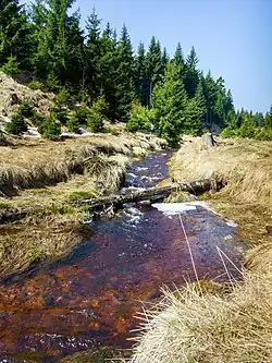 Telčský potok ve stejnojmenném údolí směrem na Gabrielinu Huť