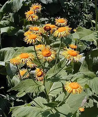 alternativní popis obrázku chybí