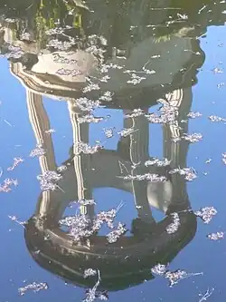 Dobře poslouží i odrazy všeho druhu