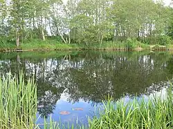 Tenenys 90 m od soutoku s Minijí