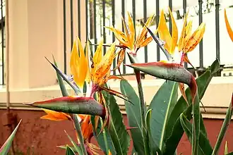 alternativní popis obrázku chybí