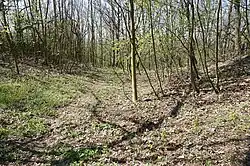 Terénní pozůstatky hradu Chlum u Nepřevázky a Chloumku (11).jpg