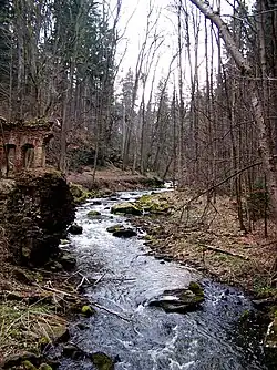 Říčka Stropnice u zříceniny Modrého domu v Terčině údolí