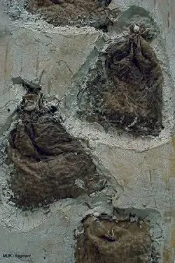 Teresa Tyszkiewiczová: Mur