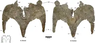 alternativní popis obrázku chybí