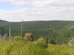 Tetřeví hora od Souše