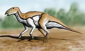 alternativní popis obrázku chybí