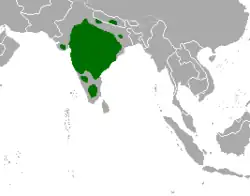 Areál rozšíření