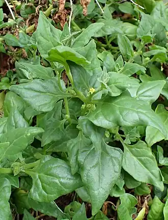 alternativní popis obrázku chybí