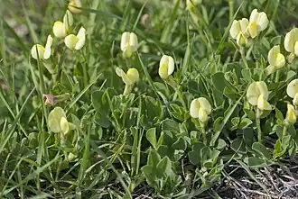 alternativní popis obrázku chybí