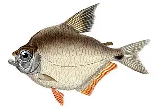 alternativní popis obrázku chybí