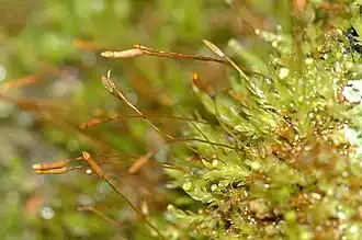 alternativní popis obrázku chybí