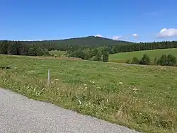 Tetřev (pohled od Kvildy)