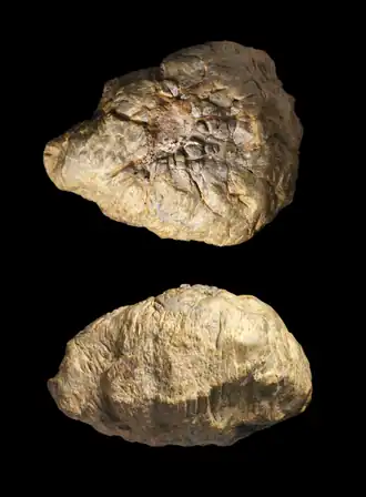 popis obrázku chybí