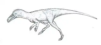 popis obrázku chybí