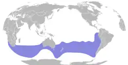 Areál rozšíření