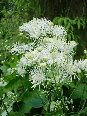 alternativní popis obrázku chybí