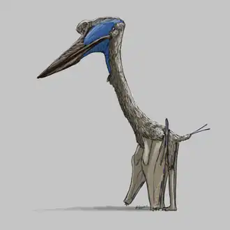 alternativní popis obrázku chybí