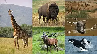 alternativní popis obrázku chybí