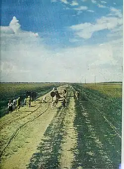 The Ladies' home journal (1948)