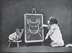 The Little Folks of Animal Land