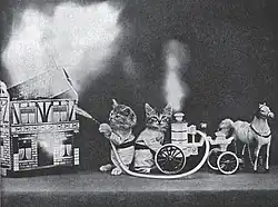 The Little Folks of Animal Land